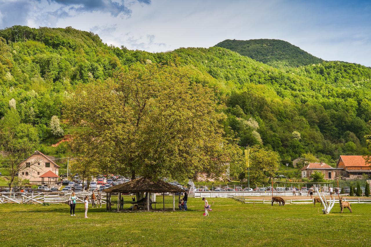 Banja Koviljača B&B Etno Village Suncana Reka المظهر الخارجي الصورة